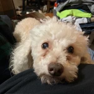 Meet your Posher, Matthew